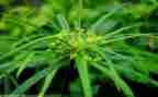 在草原上作文推荐8篇