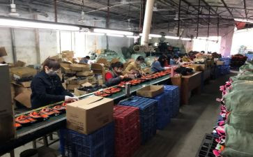 电厂员工年度工作总结7篇
