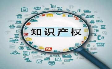 做知识产权心得体会范文7篇