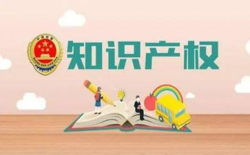 案说知识产权心得体会5篇