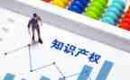 学校知识产权工作总结5篇