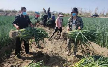 房产销售周工作计划通用6篇