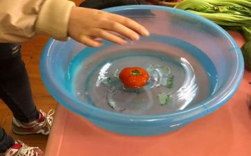 幼儿园科学沉浮教案7篇