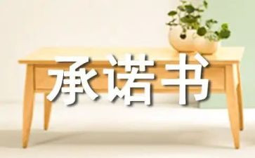 企业承诺书5篇