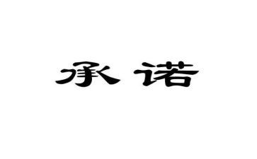 合同承诺书参考5篇