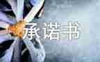 承诺的满分作文5篇