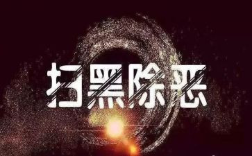 扫和除恶心得体会7篇