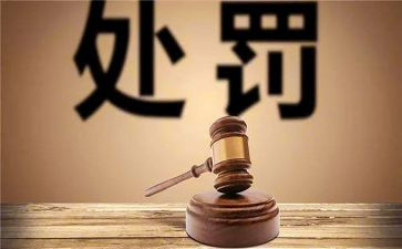 《政务处分法》心得体会6篇