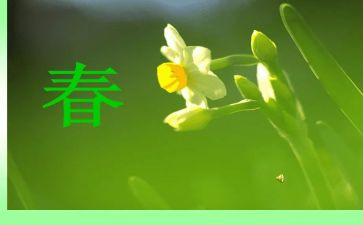 春天来了幼儿小班教案5篇