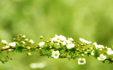 青春期健康教育心得5篇