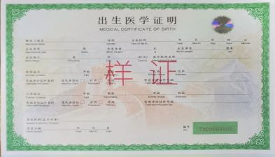 出生证明自查报告6篇