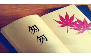 匆匆的读后感100字5篇