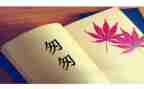 匆匆的读后感100字5篇