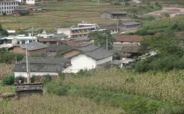 村出纳工作的述职报告8篇