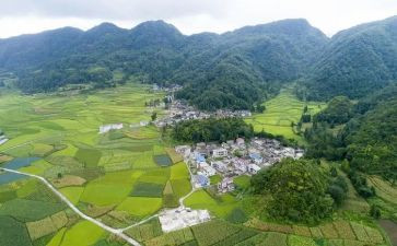 村会计工作报告精选8篇