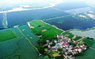村干部2024年个人述职报告7篇