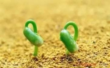 面对挫折类的作文推荐5篇