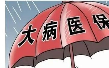 医疗大病救助申请书8篇