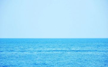 《大海》读后感6篇
