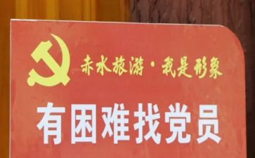 教师党员心得体会2024个人精选7篇