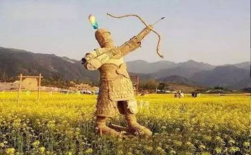 《稻草人》的读书心得6篇