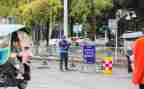 教师到岗情况自查报告5篇