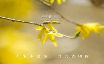得与失演讲稿800字精选5篇