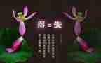 得与失演讲稿800字5篇