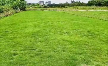 2024年房地产工作心得6篇