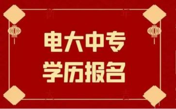 电大学生学习心得体会8篇