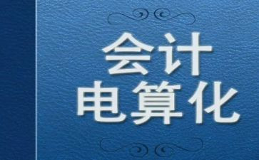 电算化的心得参考8篇