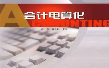 电算化的心得体会7篇