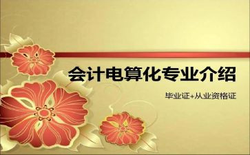 电算化的心得最新6篇