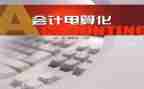 电算化的心得体会7篇