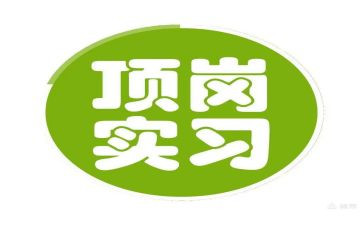 顶岗个人总结范文8篇