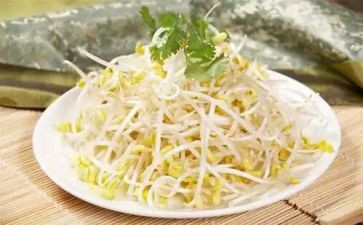 豆芽的作文7篇
