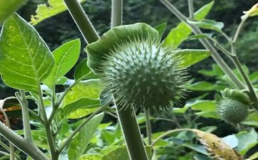 禁毒心得体会900模板7篇