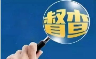 大督查工作总结模板5篇