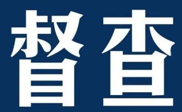 督察部的工作总结5篇