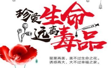 毒品的危害心得体会5篇