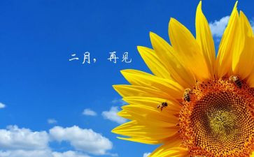 大班十二月份工作总结6篇