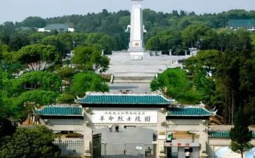 鄂豫皖心得体会500字7篇