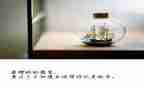 2024放射工作总结5篇