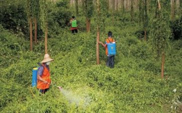 艾滋病防治工作个人总结精选7篇