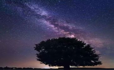 读繁星春水心得体会最新6篇