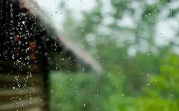 风雨数的歌读后感7篇