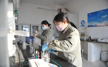 2024年分析工作总结推荐8篇