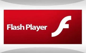 学习flash的心得体会7篇