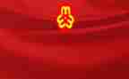 2024村妇联主任述职报告6篇