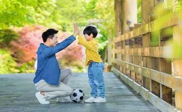 父与子的读书心得500字优质5篇